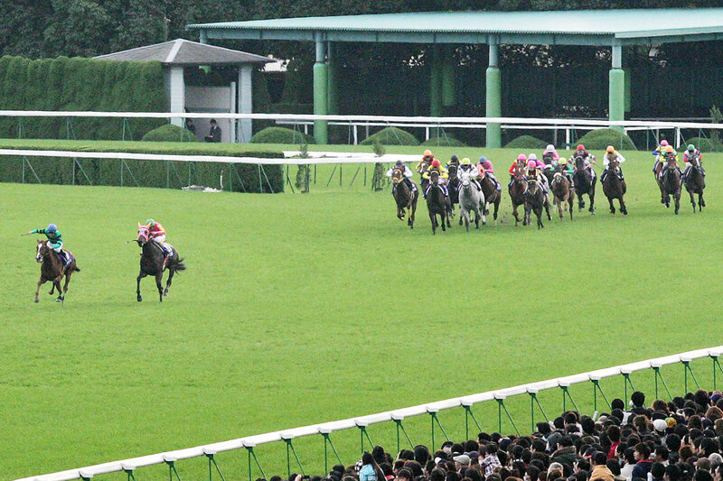エリザベス女王杯