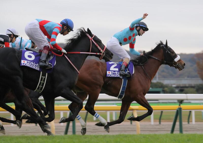 ステイゴールド