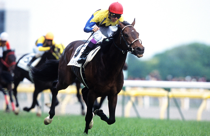競走馬1